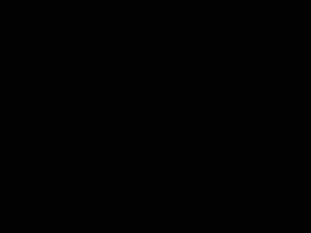 Partnerslider